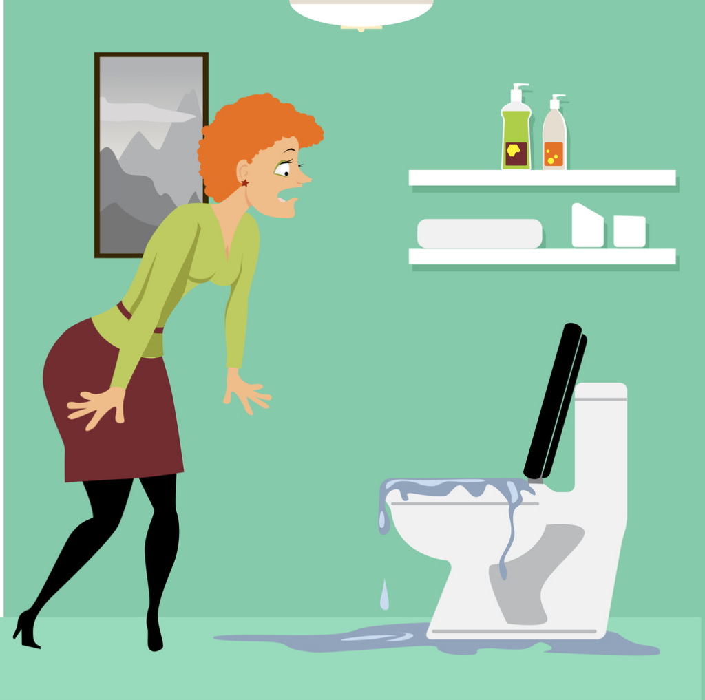 Clogged Toilet? Here's How To Fix It!